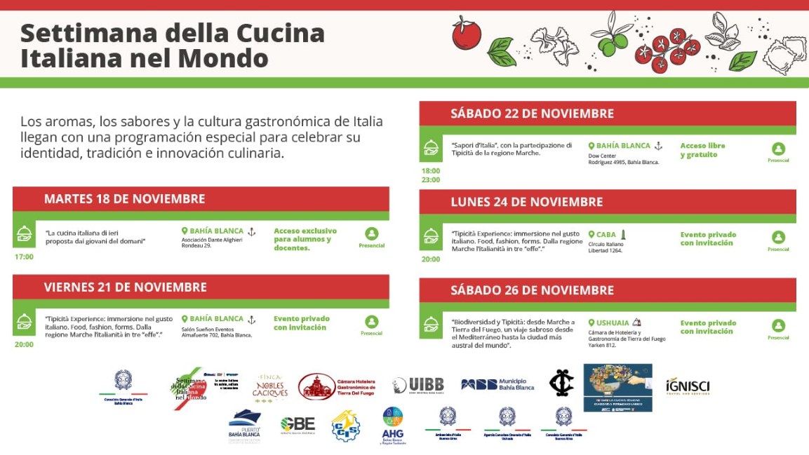 WhatsApp Image 2025-10-30 at 09.00.11